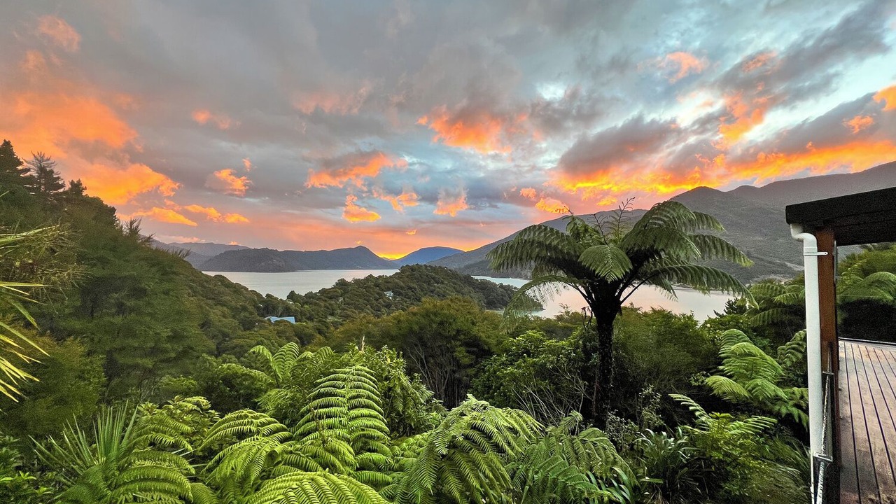 Photo of Others in Saint Omer