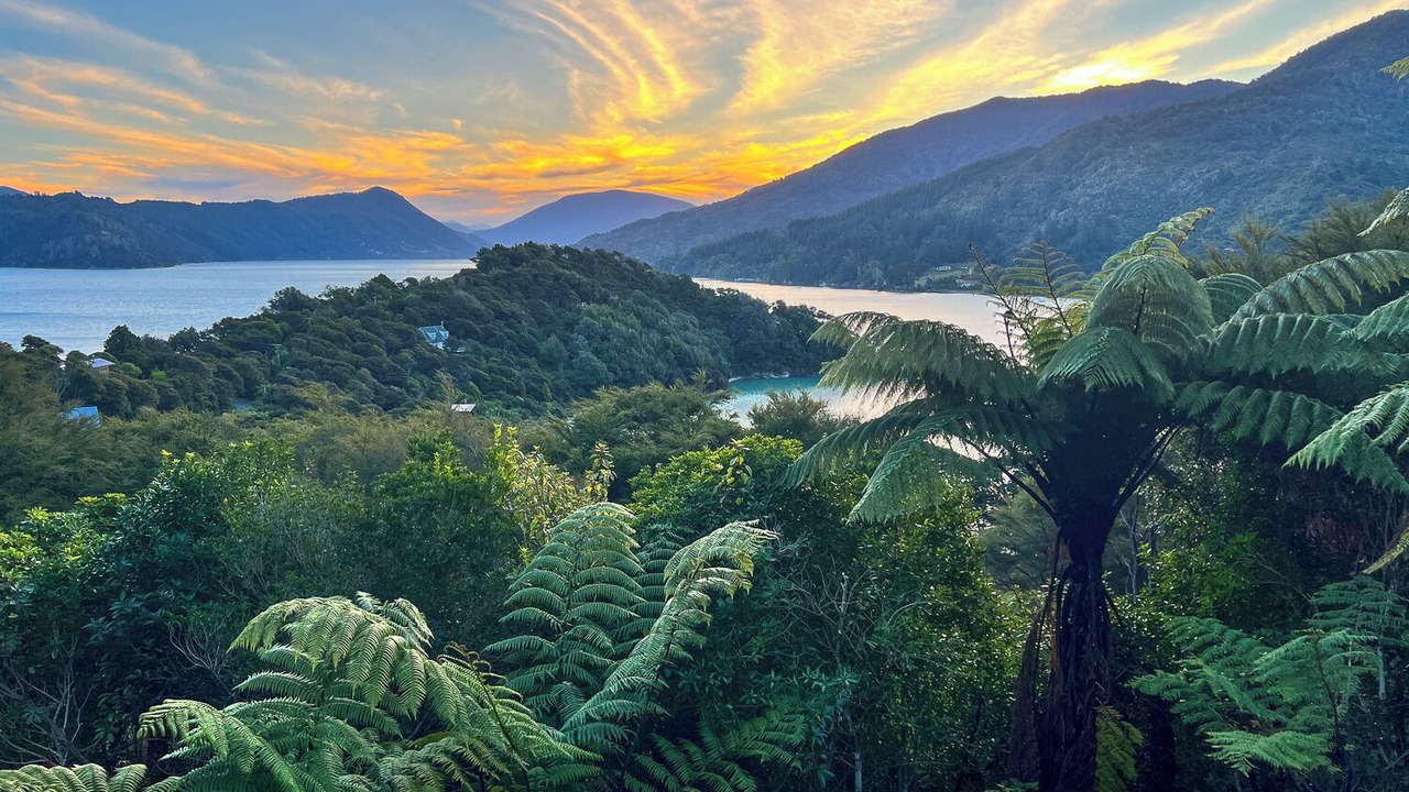 Photo of Others in Saint Omer