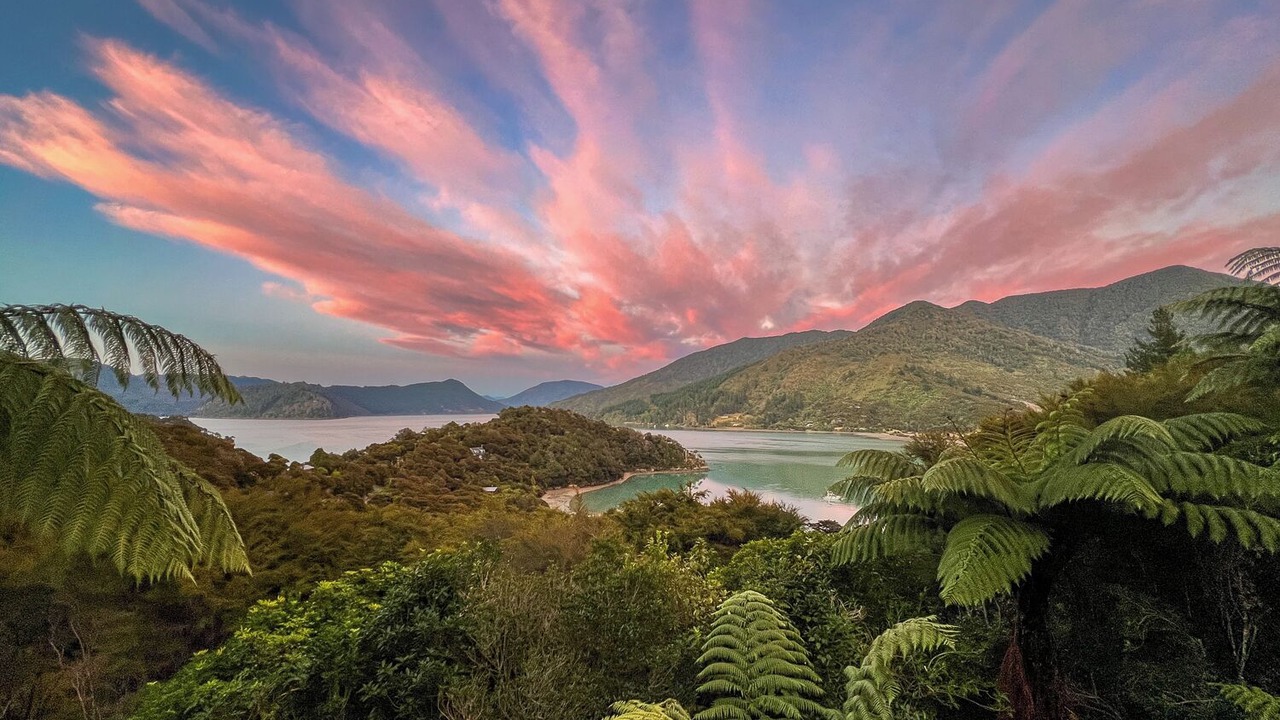 Photo of Others in Saint Omer