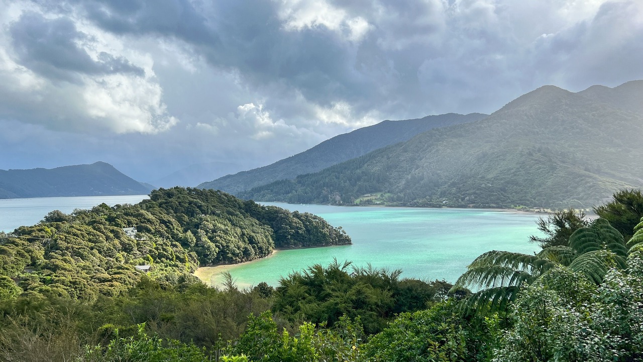 Photo of Others in Saint Omer