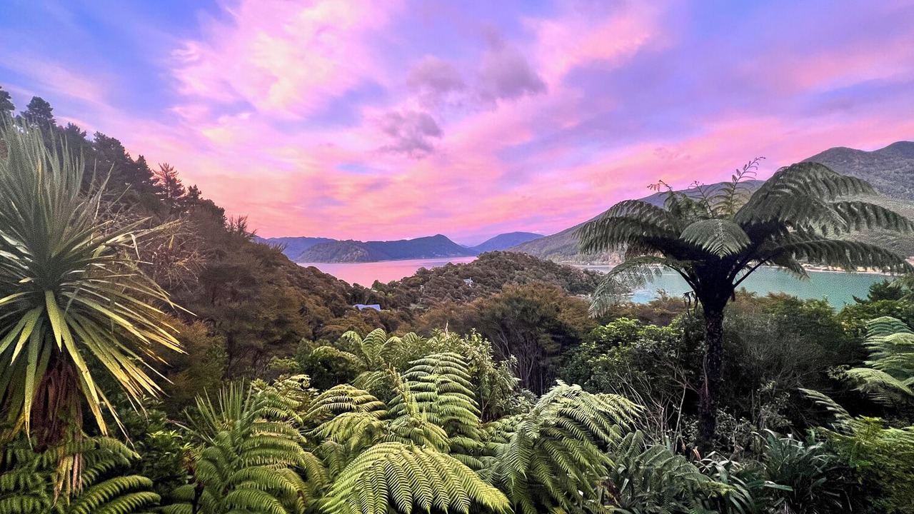 Photo of Others in Saint Omer