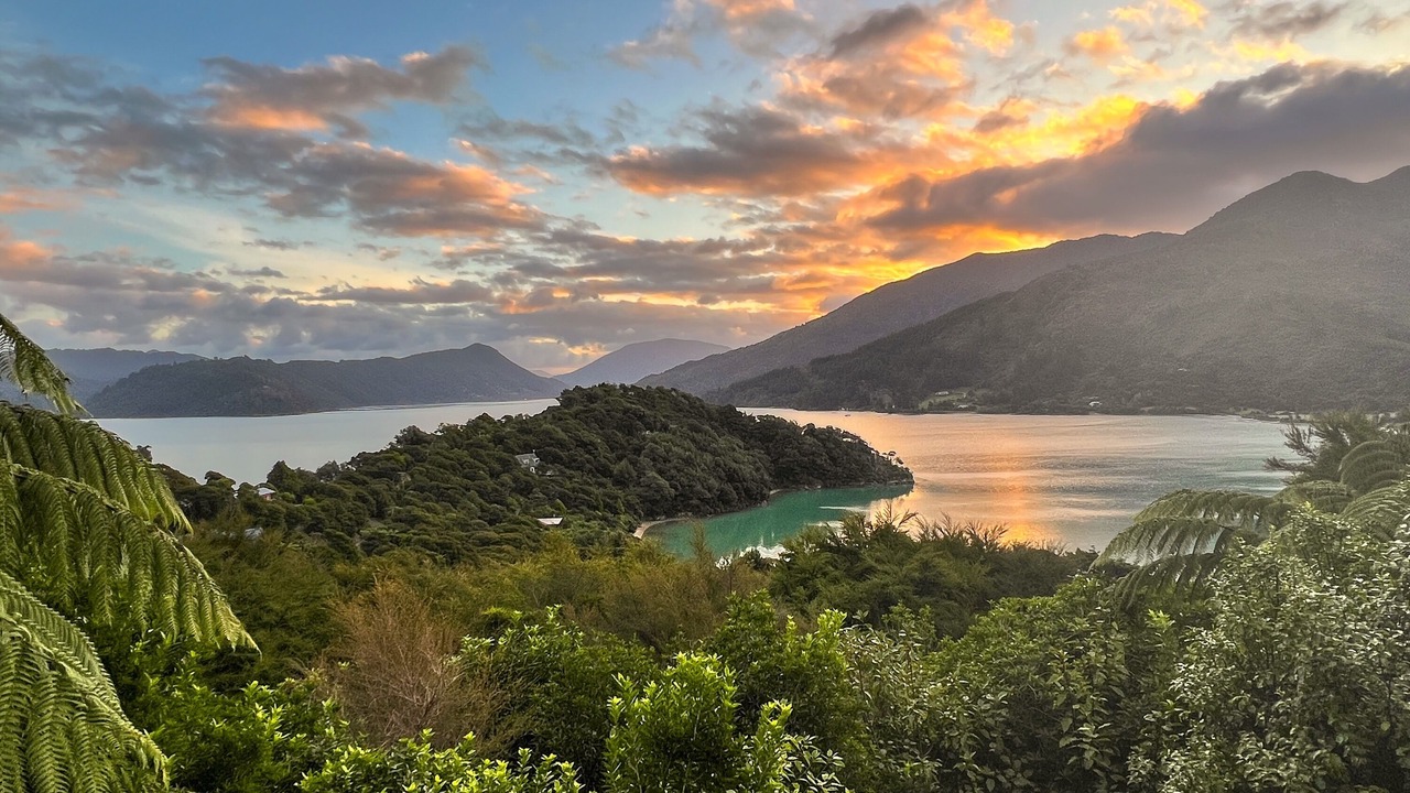 Photo of Others in Saint Omer