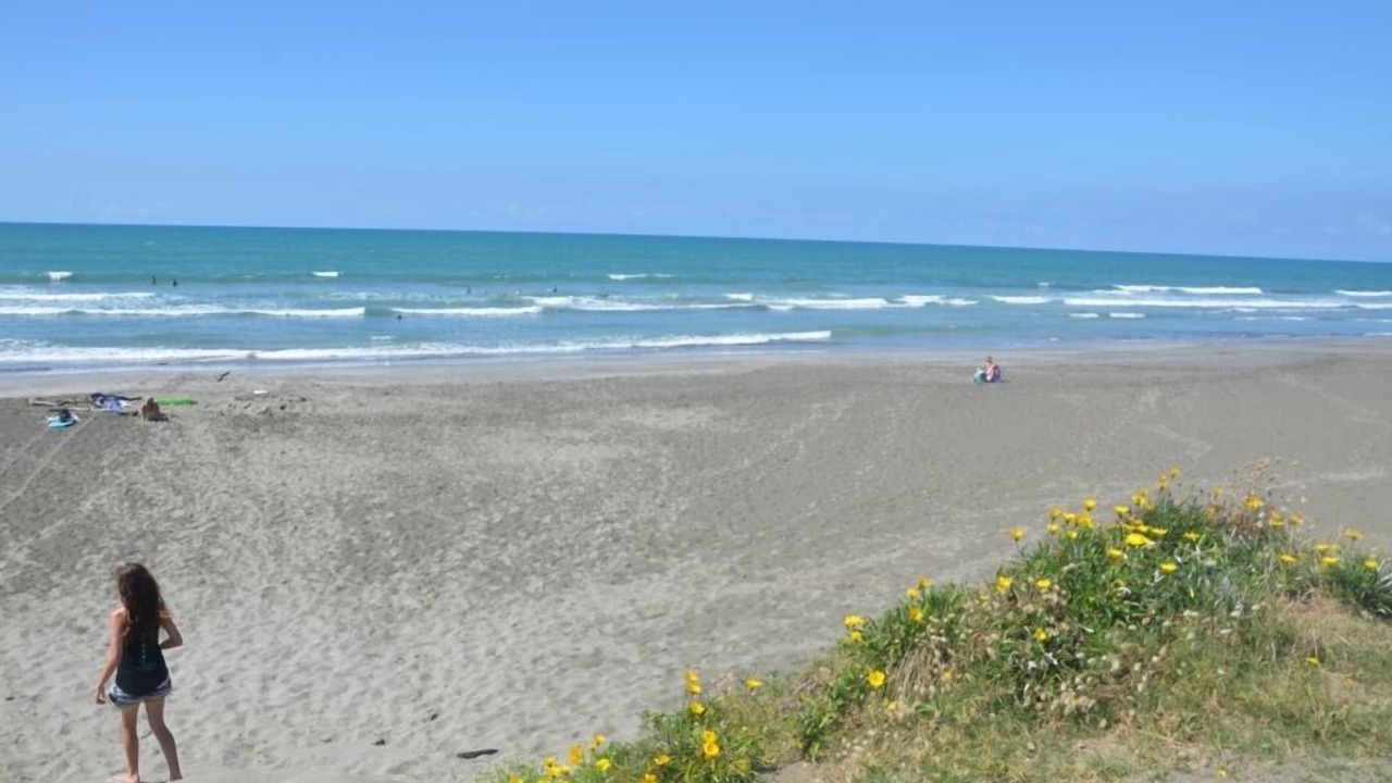 Photo of Others in Ohope