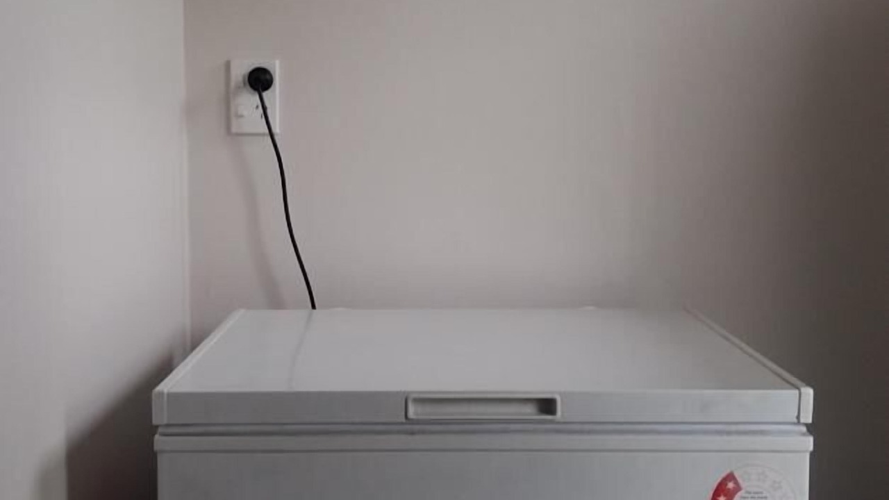 Photo of Others in Ohope