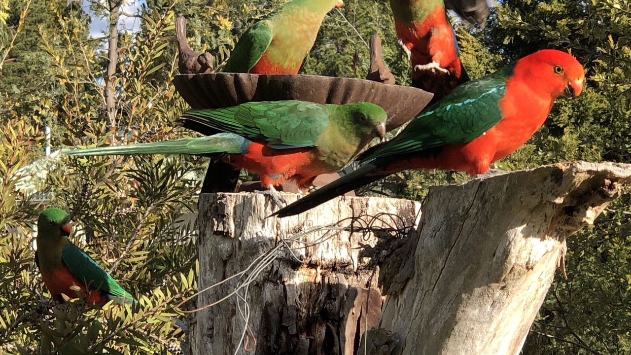 Photo of Outdoor in Rydal