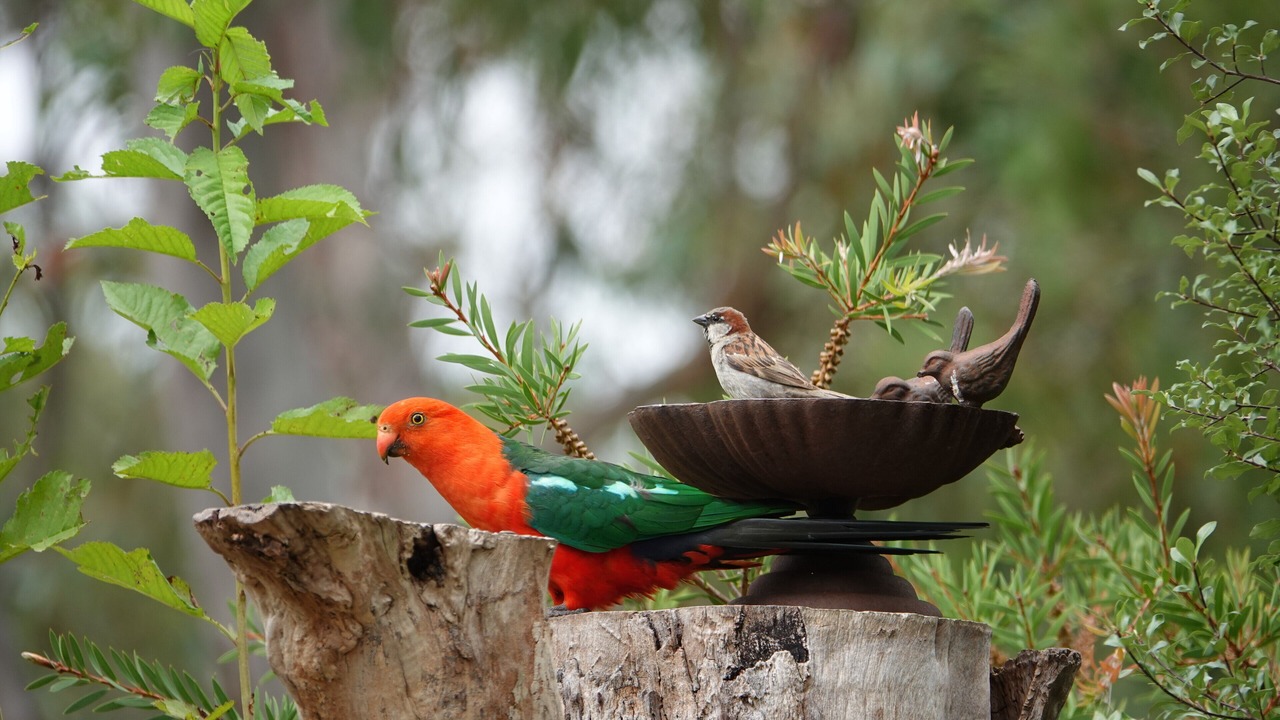 Photo of Outdoor in Rydal