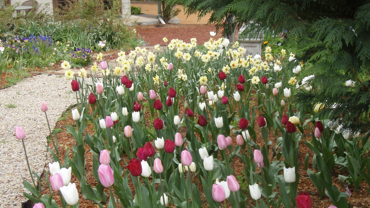 Photo of Outdoor in Rydal