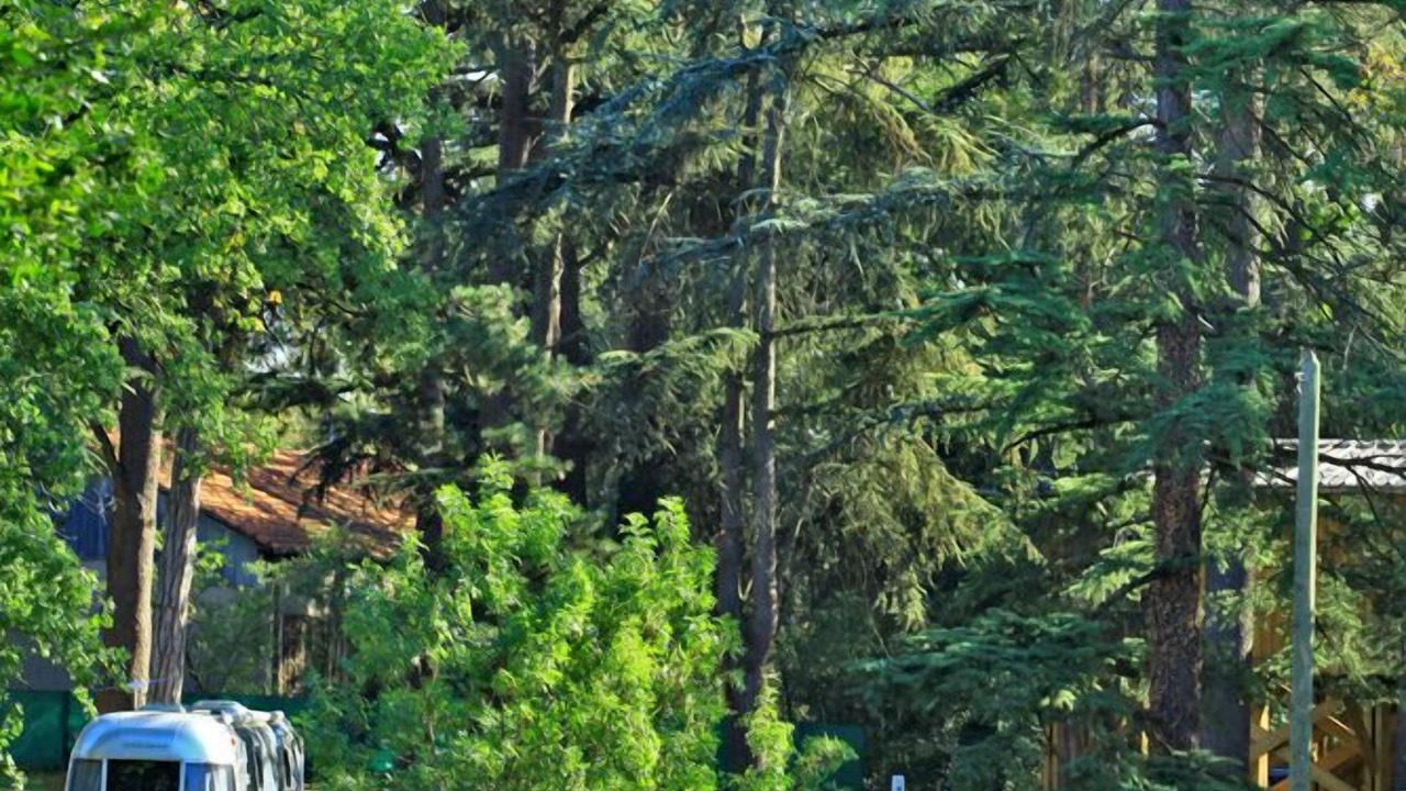 Photo of Outdoor in Albi