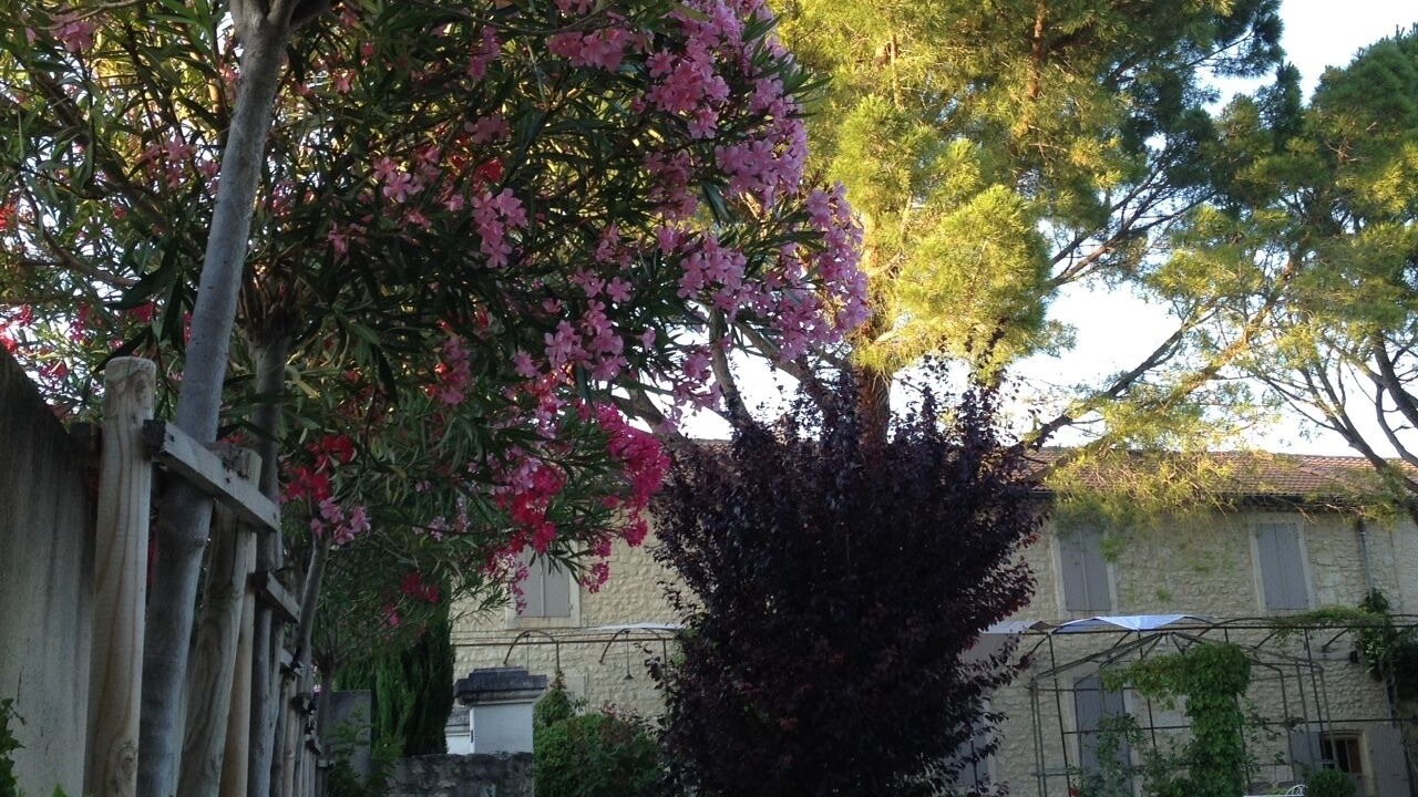 Photo of Outdoor in Montsegur-sur-Lauzon