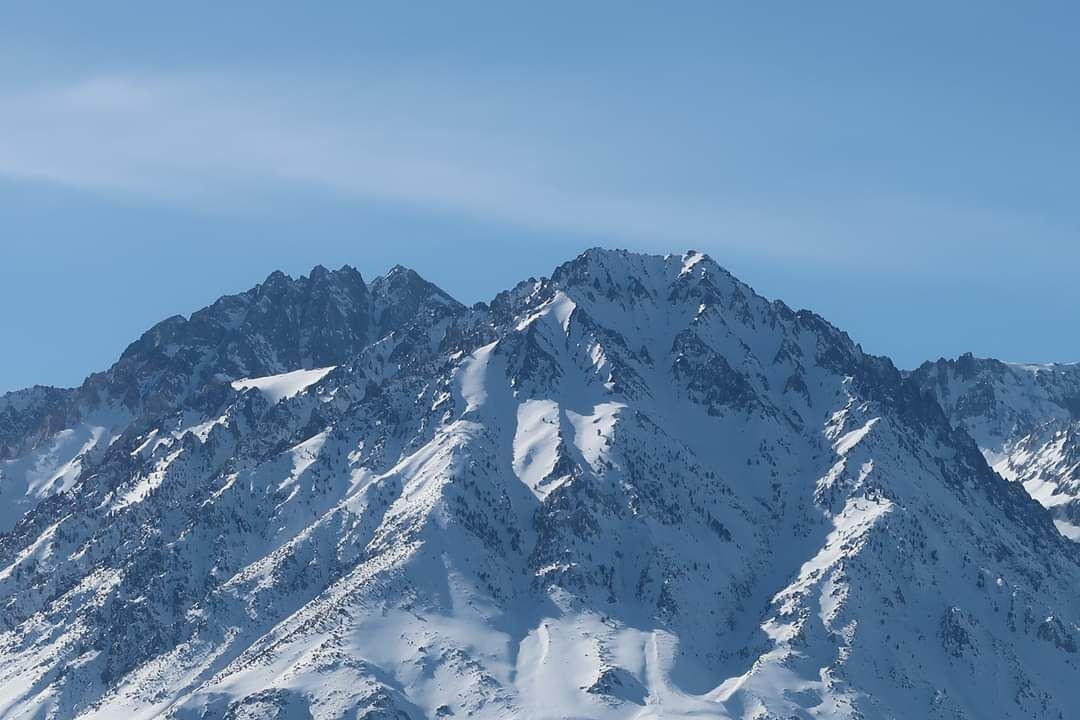 Photo of Others in Ogden