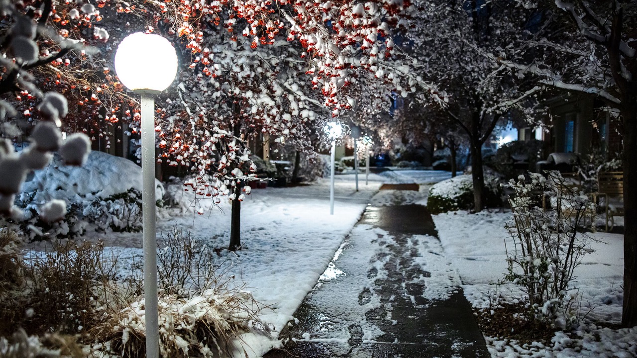 Photo of Outdoor in Ogden