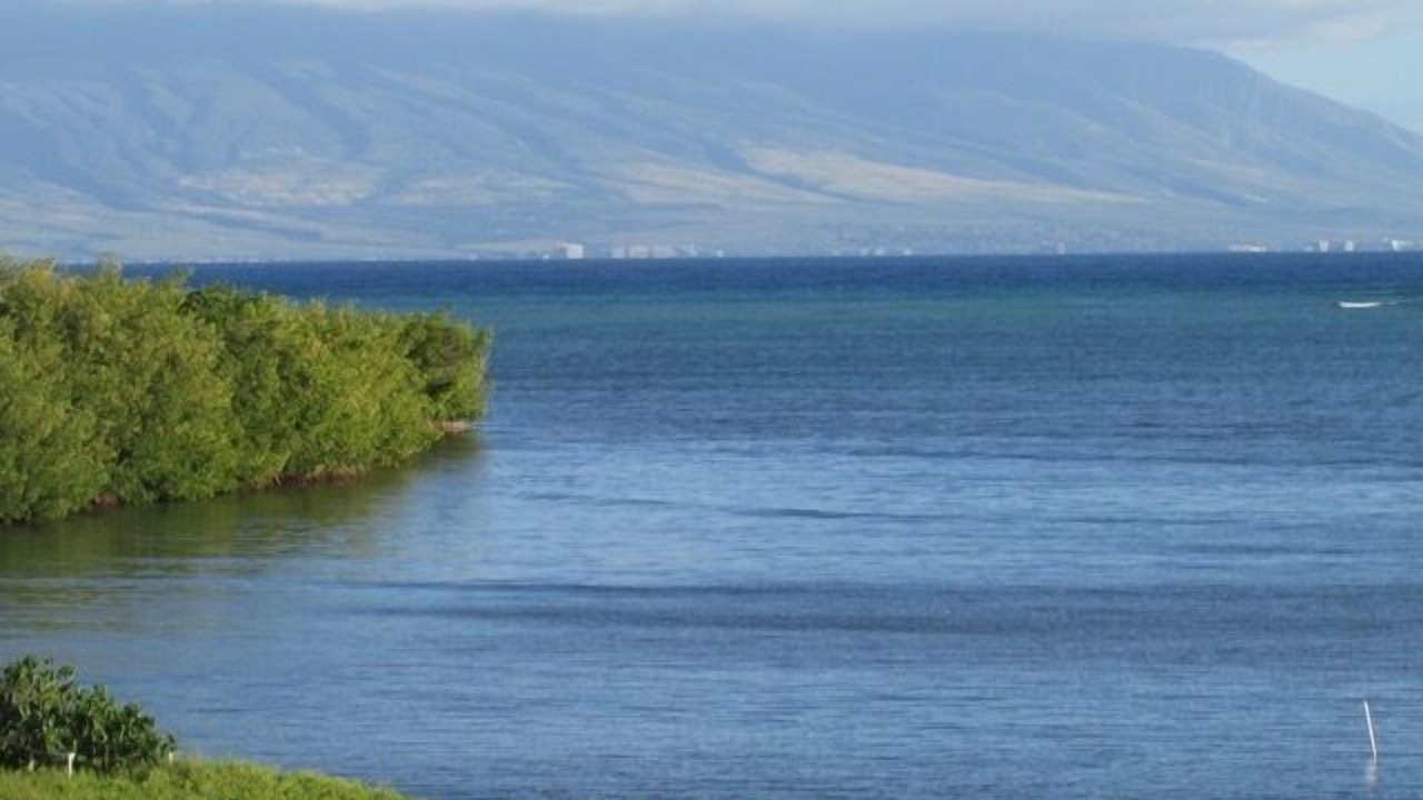 Photo of Others in Ualapue