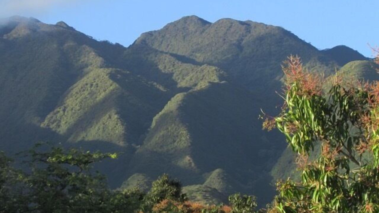 Photo of Others in Ualapue