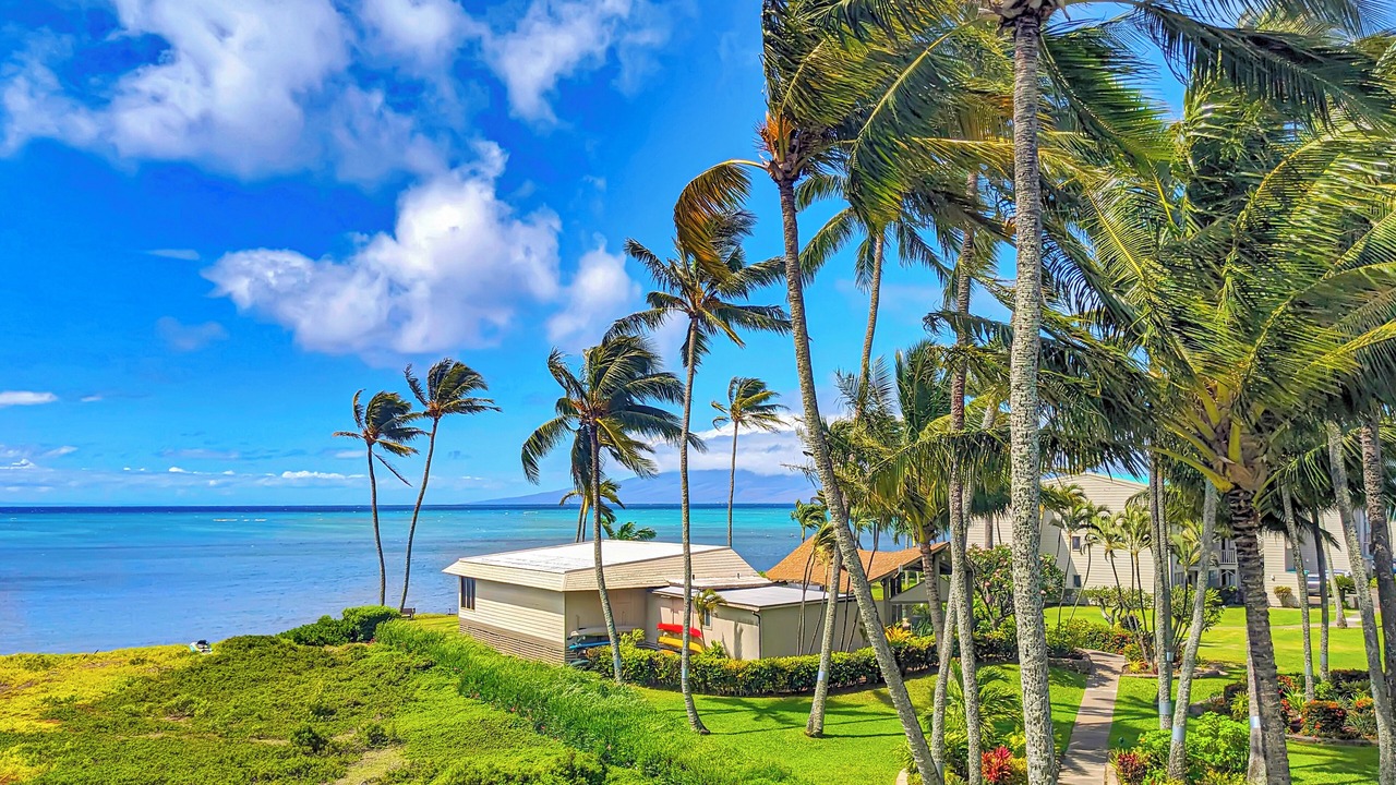 Photo of Outdoor in Ualapue