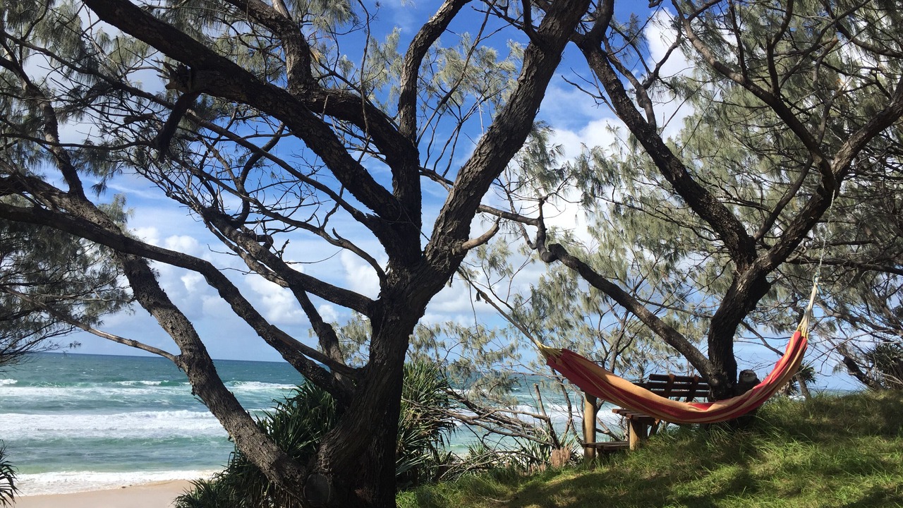 Photo of Others in Maheno