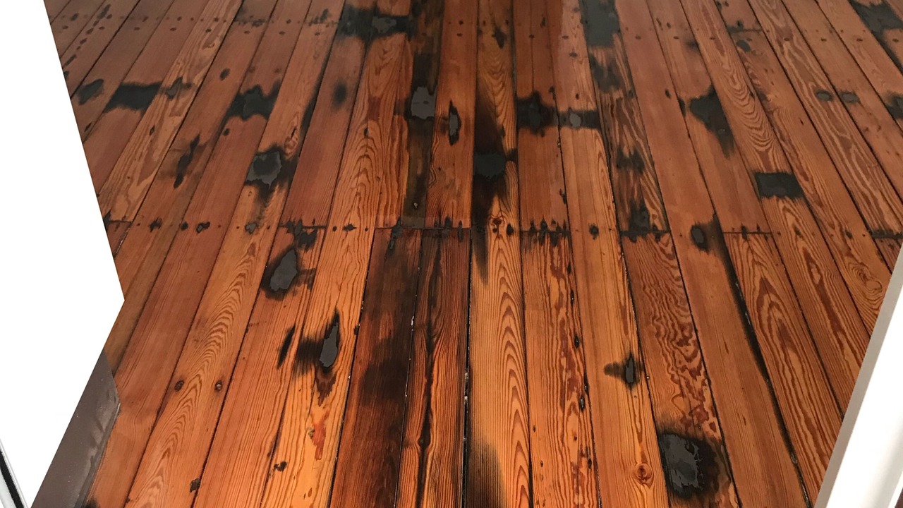 Photo of Others in Maheno