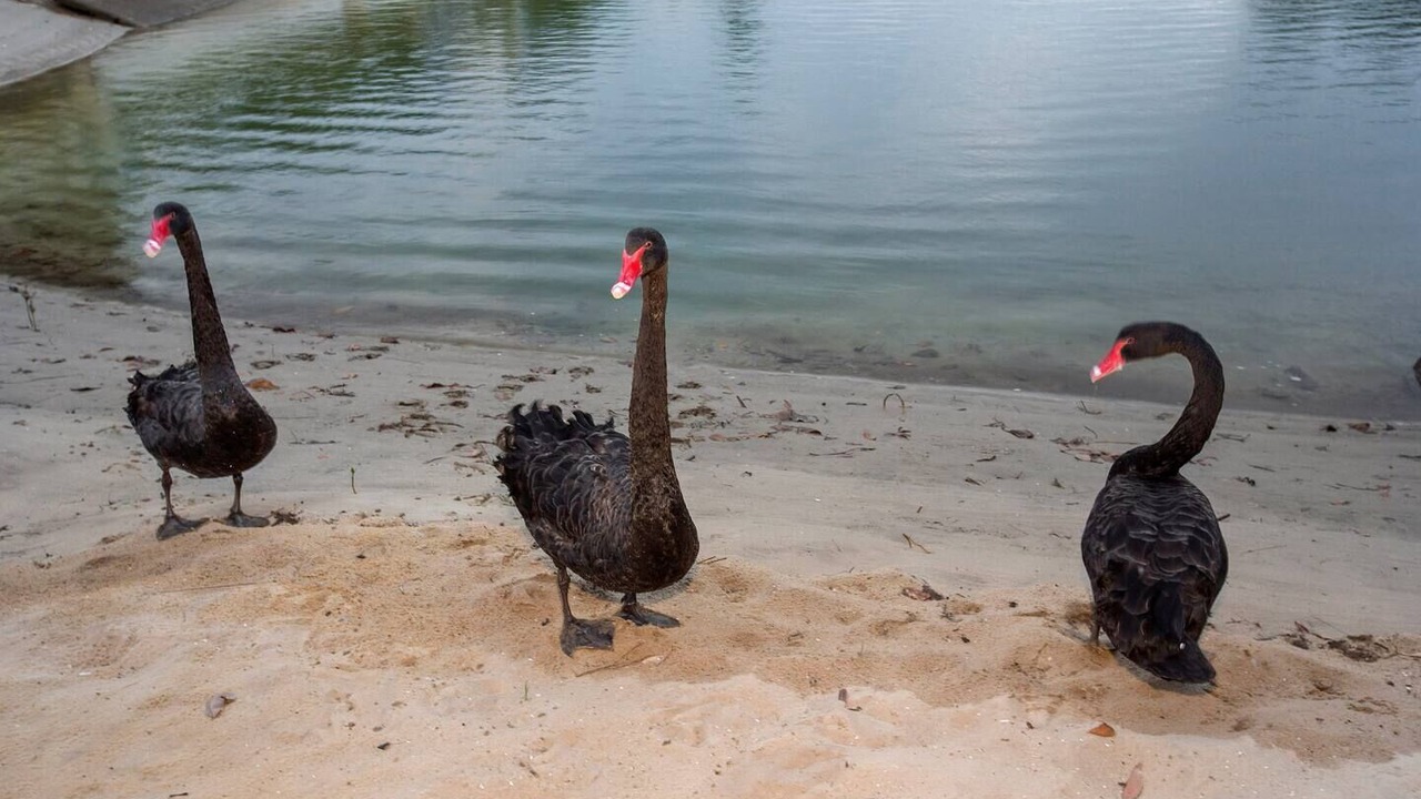 Photo of Others in Broadbeach Waters