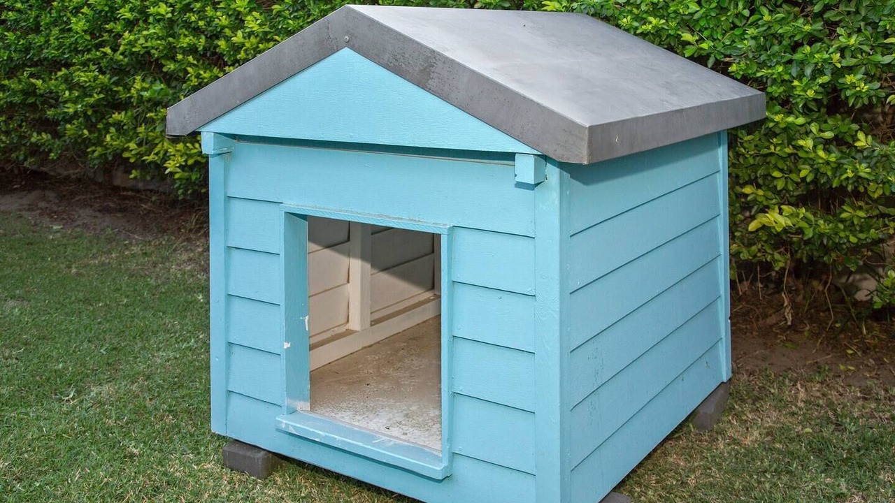 Photo of Outdoor in Broadbeach Waters