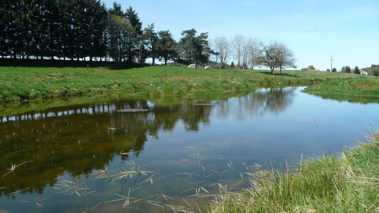 Photo of Outdoor in Champdray