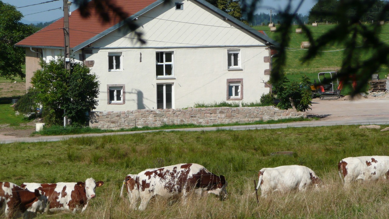 Photo of Outdoor in Champdray