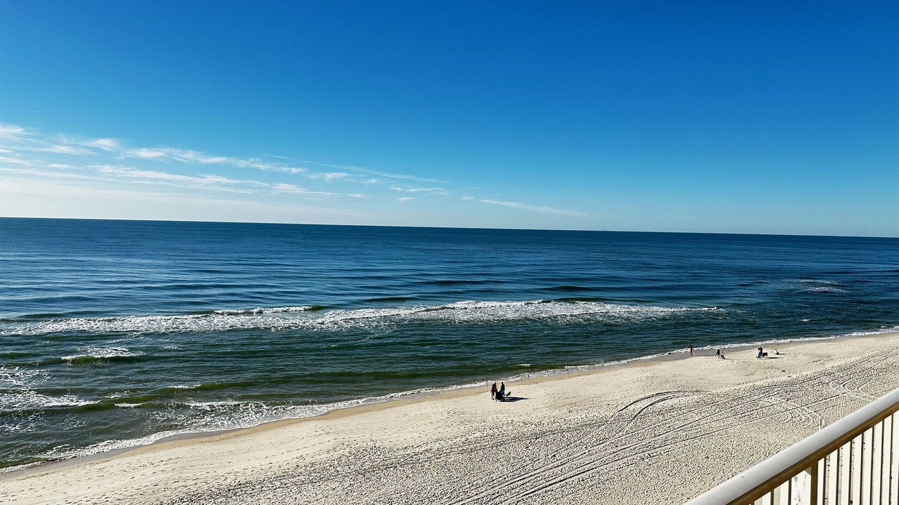 Photo of Others in Gulf Shores