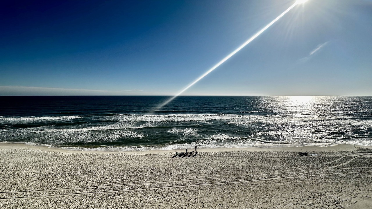 Photo of Others in Gulf Shores