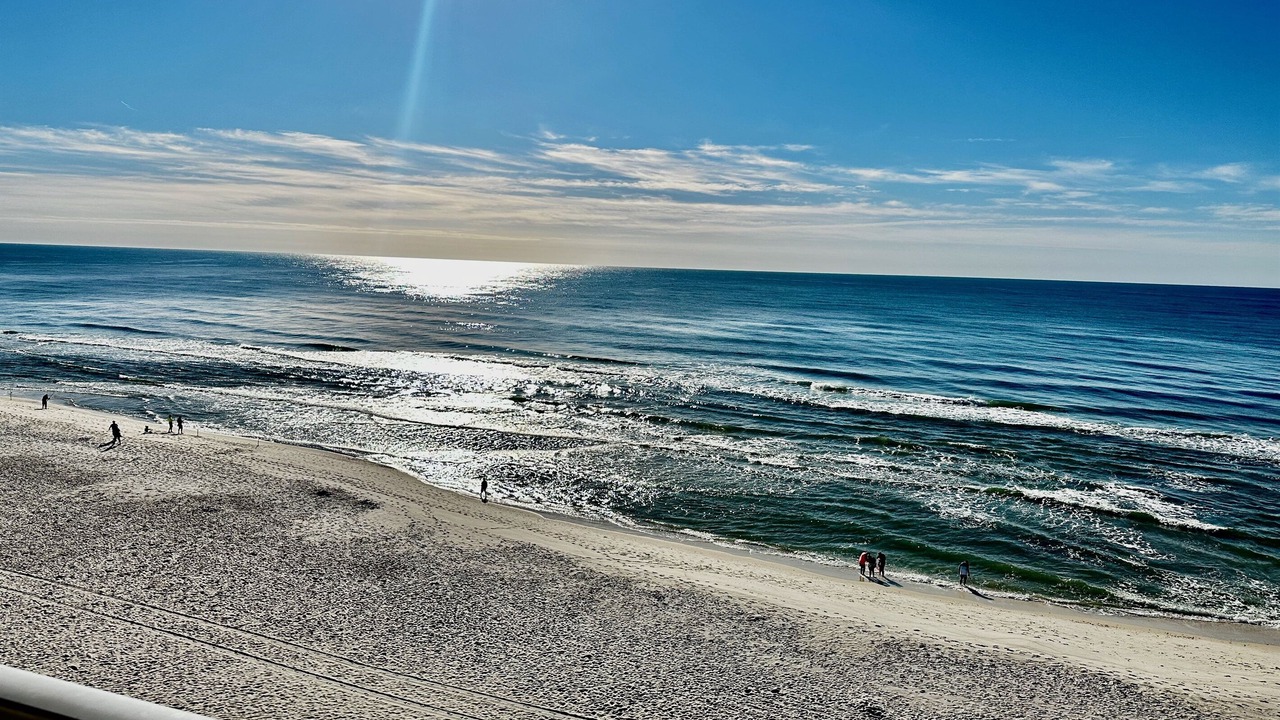 Photo of Others in Gulf Shores
