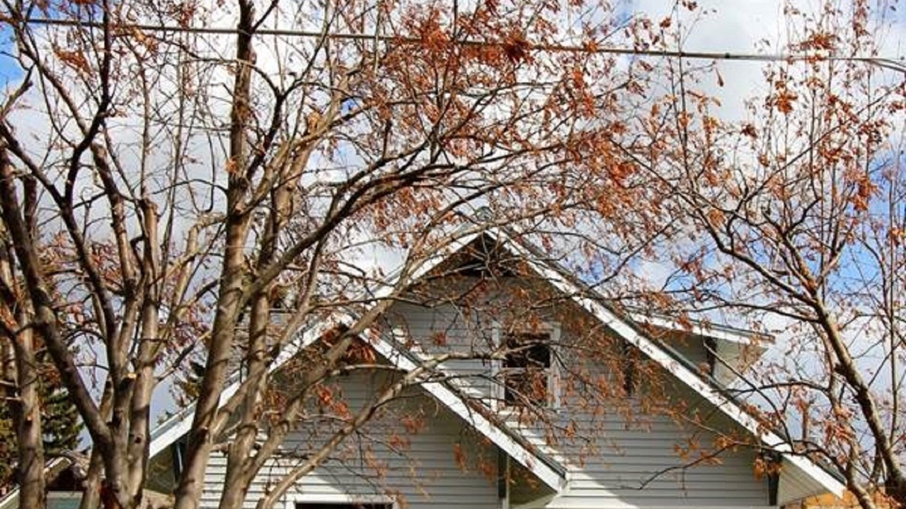 Photo of Others in Downtown Bozeman