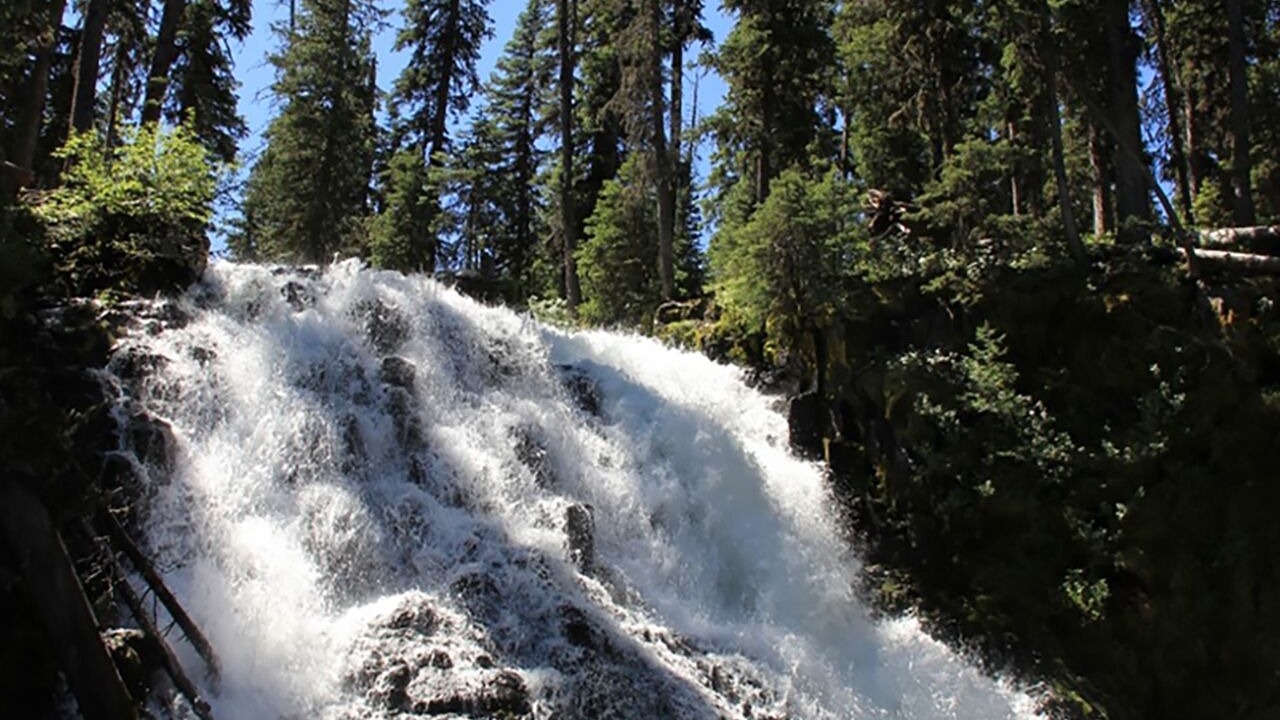 Photo of Others in Downtown Bozeman