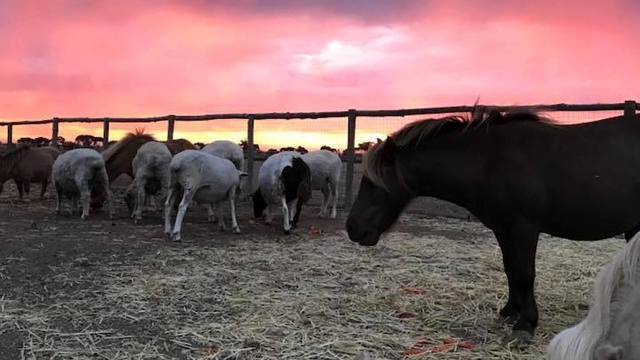 Photo of Outdoor in Wallaroo