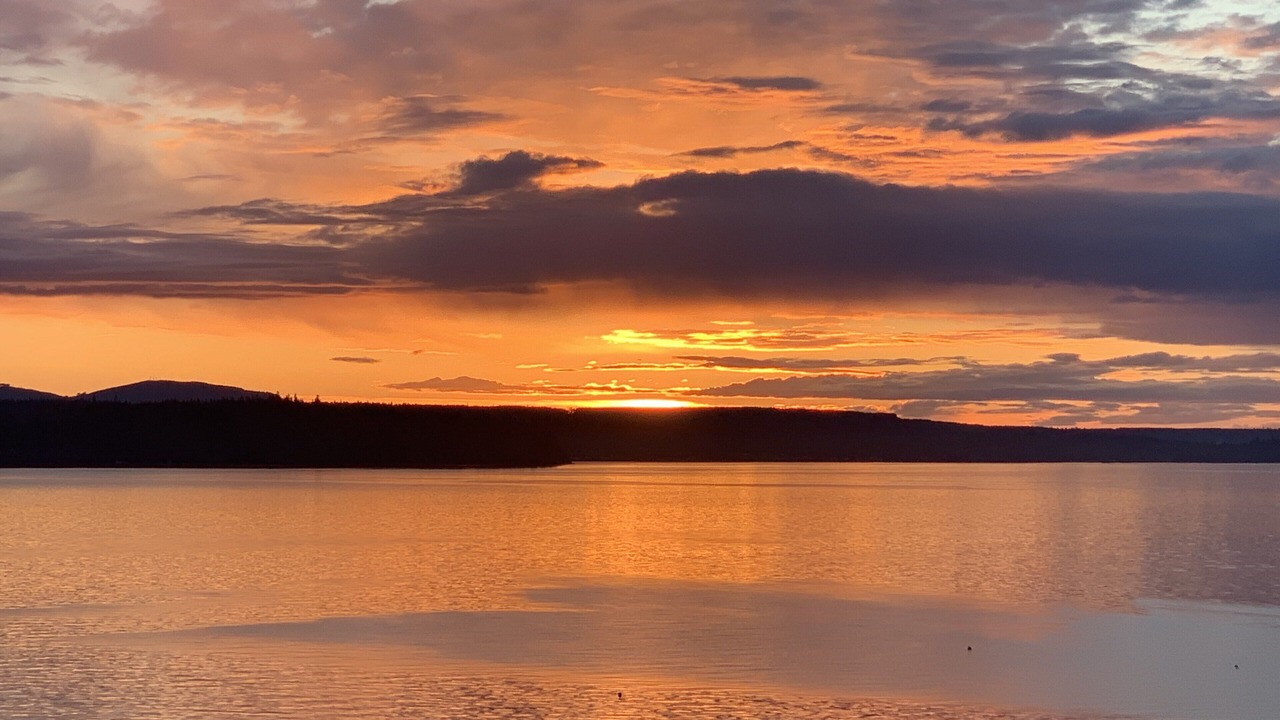 Photo of Others in Hansville