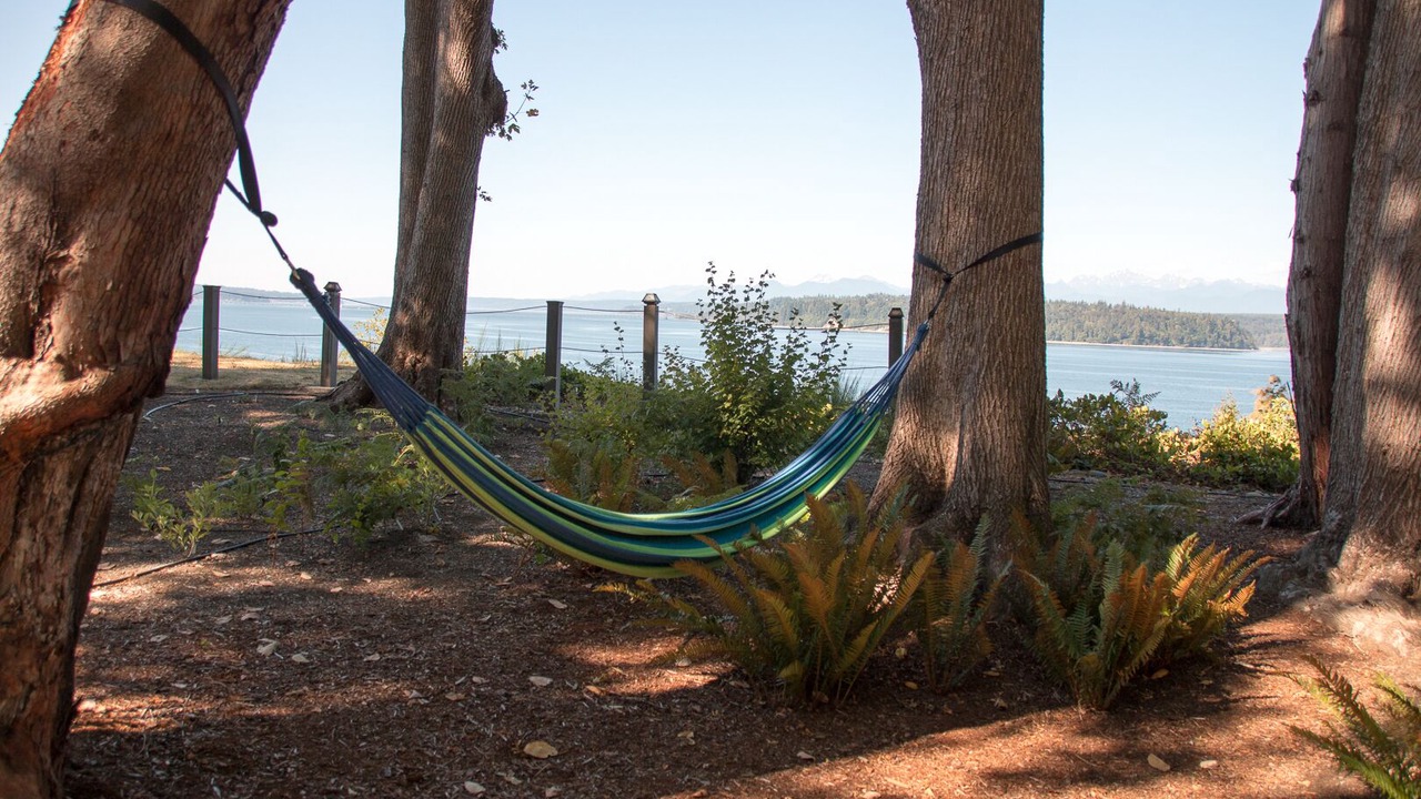 Photo of Outdoor in Hansville