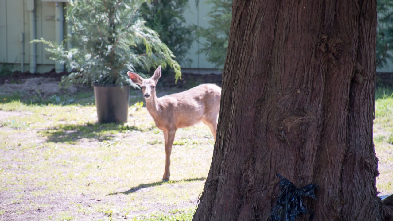 Photo of Others in Hansville