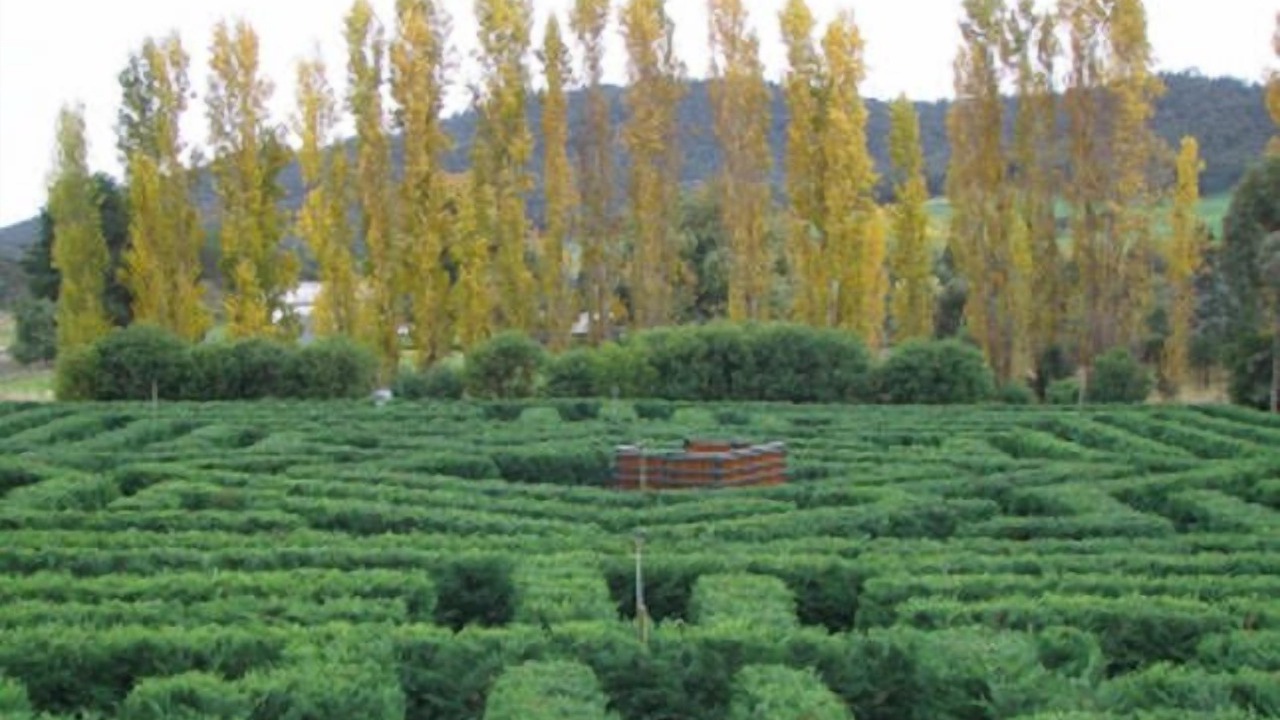 Photo of Outdoor in Upper Lurg