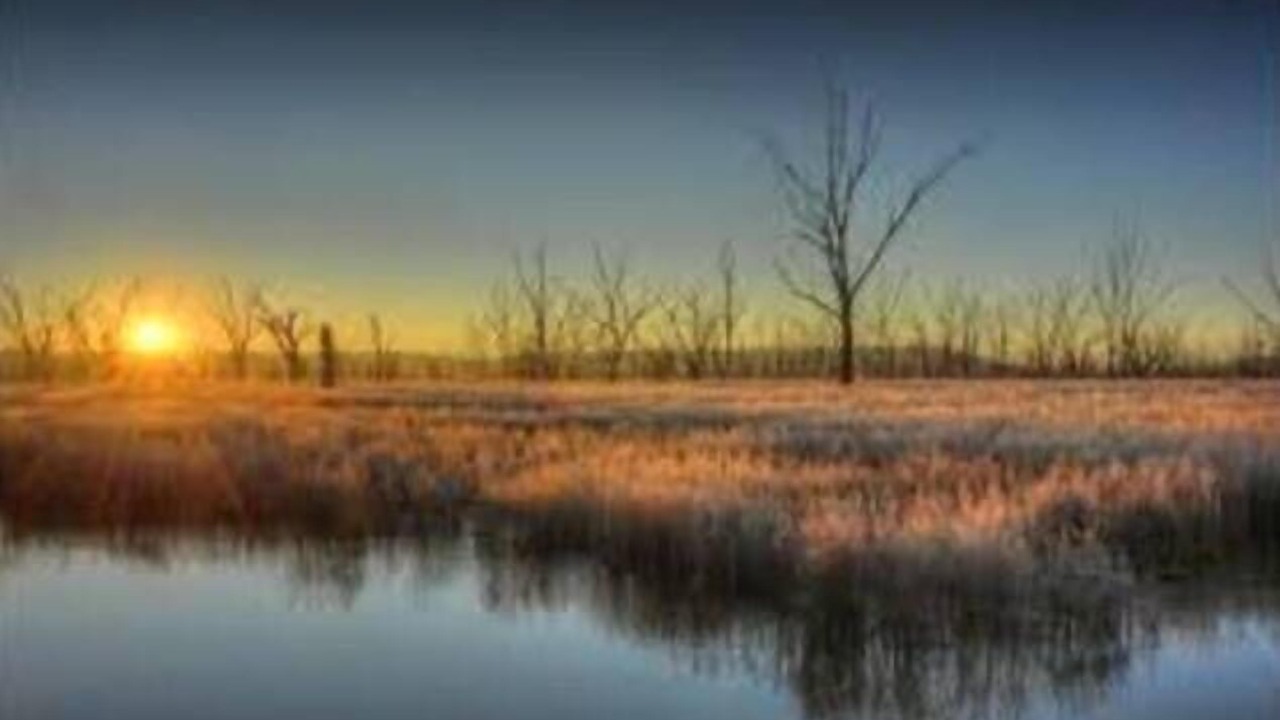 Photo of Others in Upper Lurg