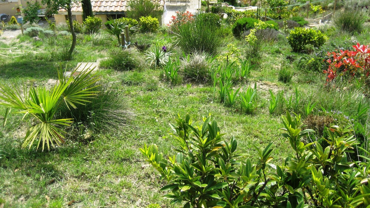Photo of Outdoor in Lussas