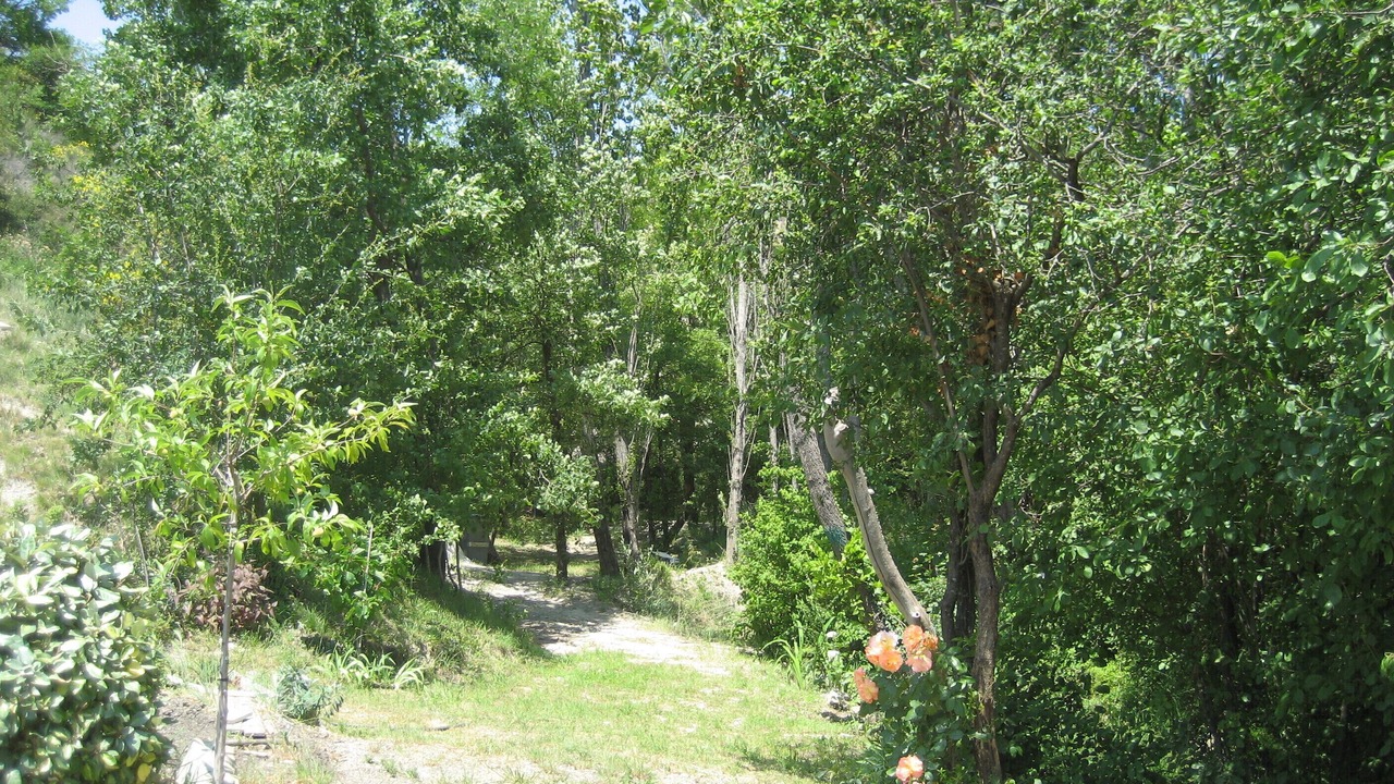Photo of Outdoor in Lussas