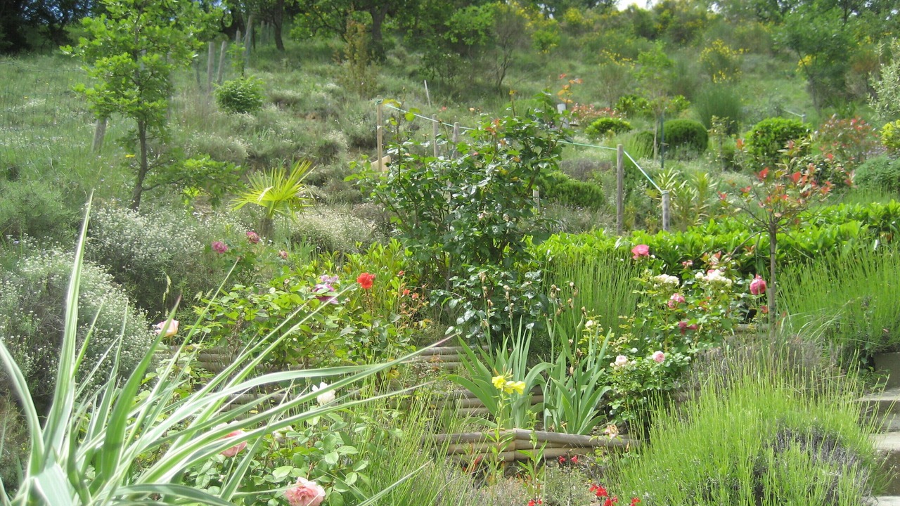 Photo of Outdoor in Lussas