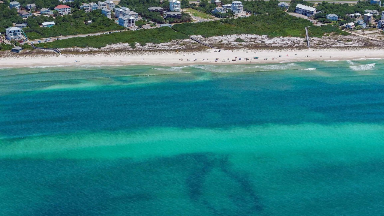 Photo of Others in Inlet Beach