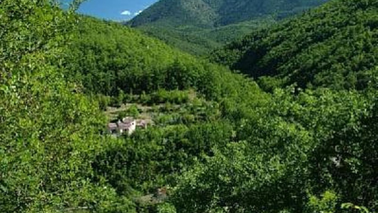 Photo of Others in Serdinya