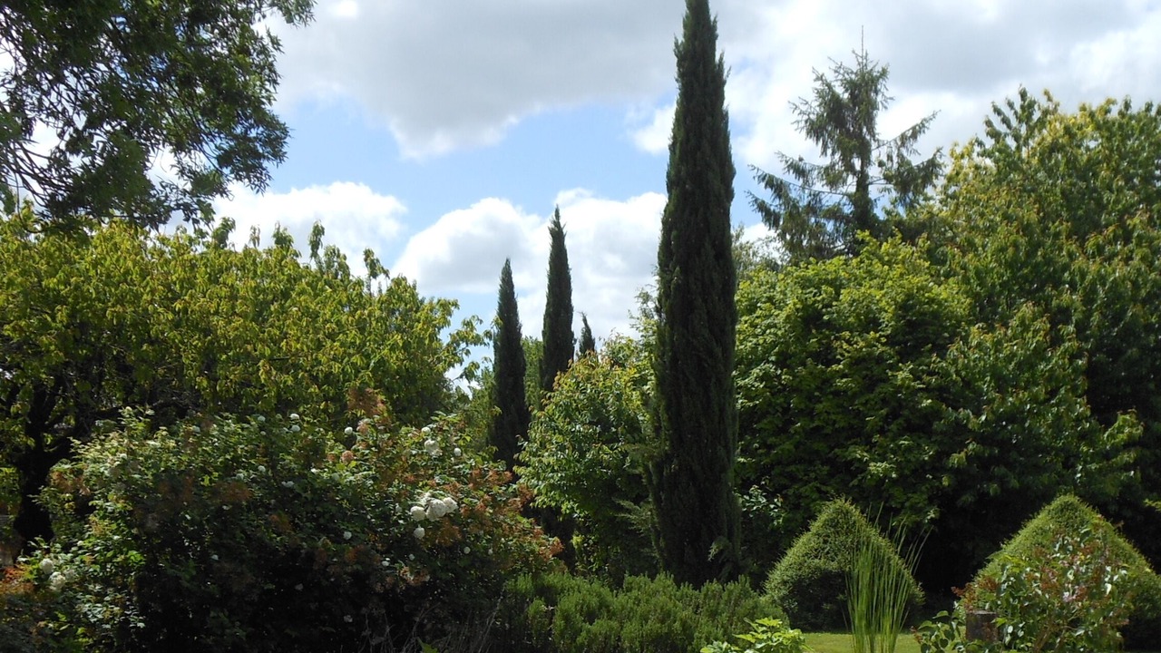 Photo of Outdoor in Duil-sur-le-Mignon