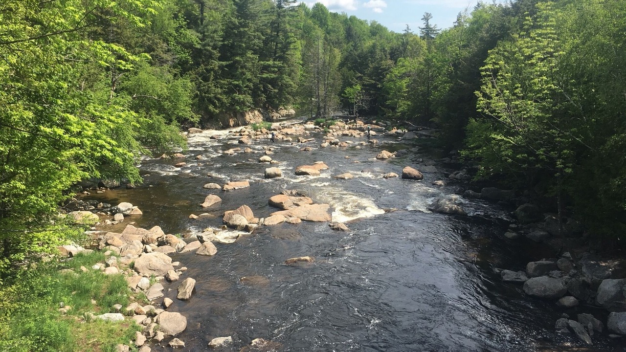 Photo of Outdoor in Wilmington