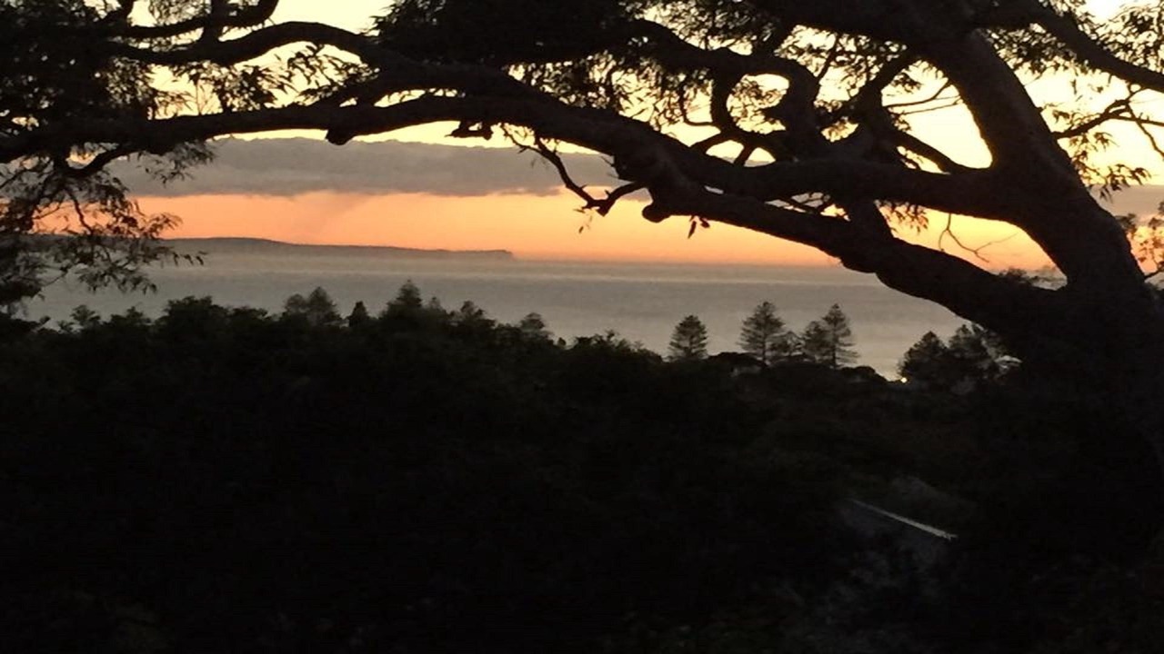 Photo of Others in Collaroy