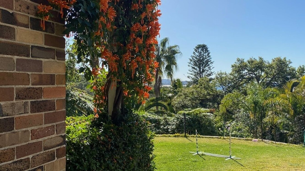 Photo of Outdoor in Collaroy