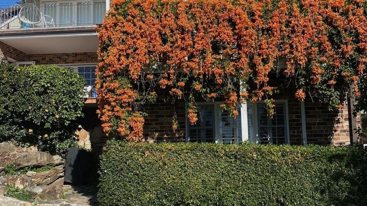 Photo of Outdoor in Collaroy