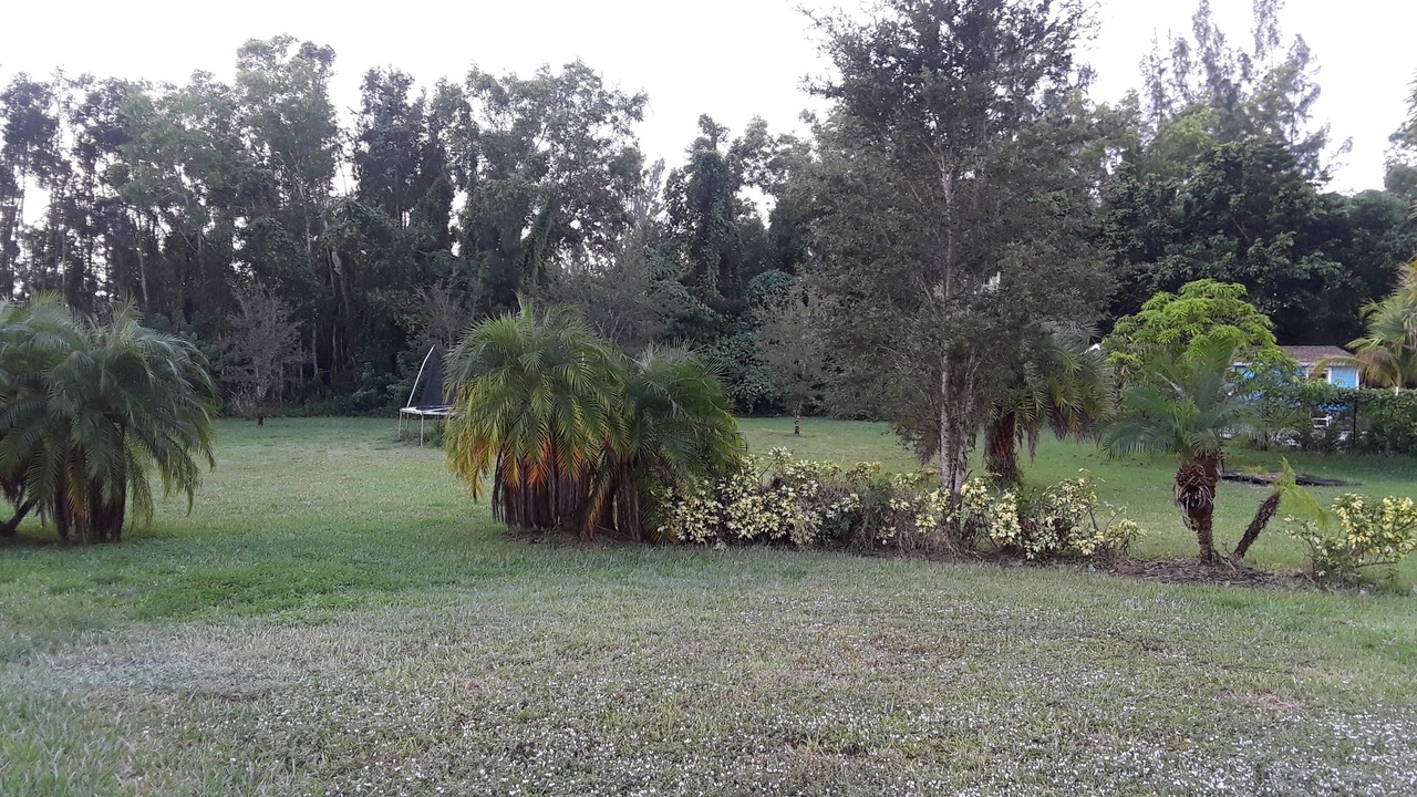 Photo of Outdoor in Hunt Club