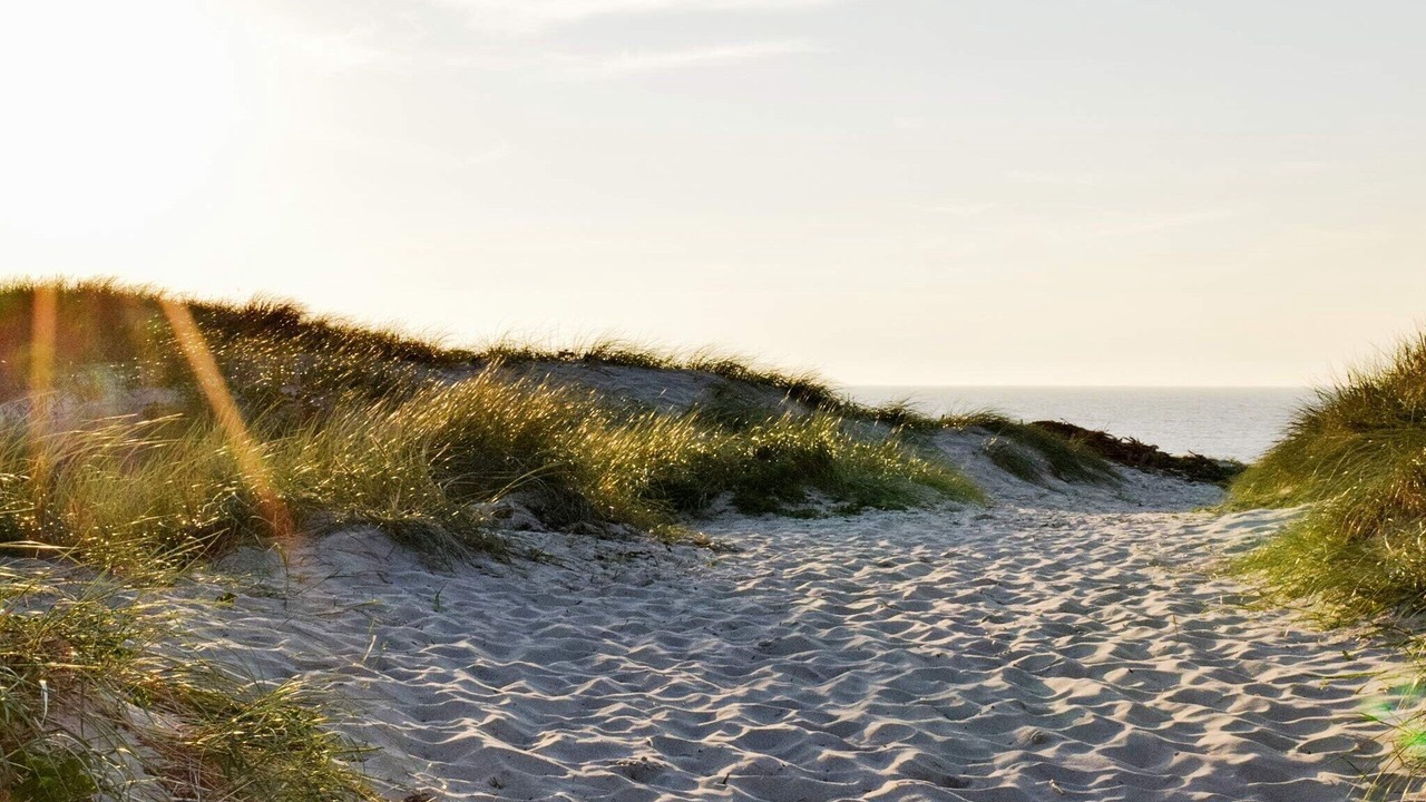 Photo of Others in Sondervig
