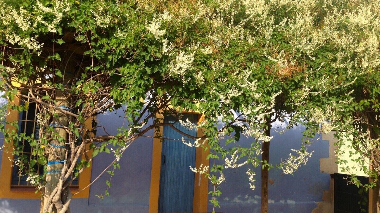Photo of Outdoor in Banyeres del Penedes