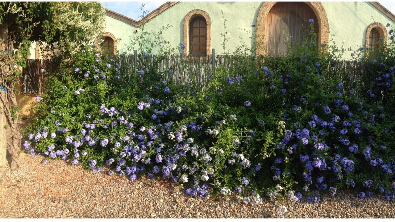 Photo of Outdoor in Banyeres del Penedes