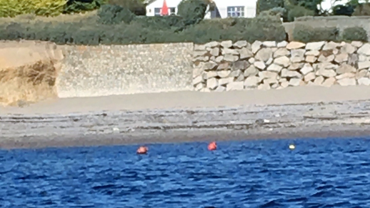Photo of Others in Piriac-sur-Mer